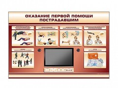Многофункциональный интерактивный стенд-тренажер "Оказание первой помощи пострадавшим" для учащихся общеобразовательных учреждений - fgospostavki.ru - Смоленск