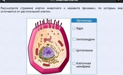 Интерактивные курсы. Биология 8 класс. Базовый - fgospostavki.ru - Смоленск