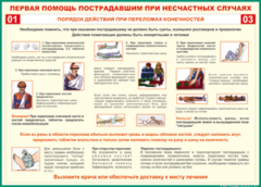 Таблица "Порядок действий при переломах конечностей" (100х140 сантиметров, винил) - fgospostavki.ru - Смоленск