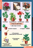 Комплект таблиц. Окружающий мир 1 класс. - fgospostavki.ru - Смоленск