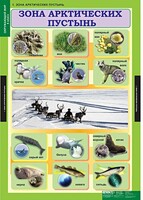 Комплект таблиц. Окружающий мир 4 класс. - fgospostavki.ru - Смоленск