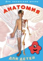 DVD "Анатомия для детей" - fgospostavki.ru - Смоленск
