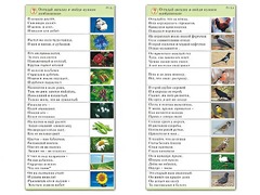 Комплект карточек (10) "Обучающий калейдоскоп. Природа" - fgospostavki.ru - Смоленск