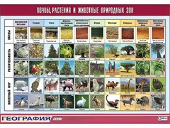 Таблица демонстрационная "Почвы, растения и животные природных зон" (винил 100*140) - fgospostavki.ru - Смоленск