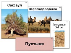 Модель-аппликация "Природные зоны России" (ламинированная) - fgospostavki.ru - Смоленск