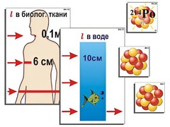 Модель-аппликация "Явление радиоактивности" (ламинированная) - fgospostavki.ru - Смоленск