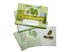 Гербарий "Дикорастущие растения" (30 видов, с иллюстрациями) - fgospostavki.ru - Смоленск