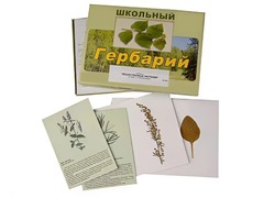 Гербарий "Лекарственные растения" (22 вида с иллюстрациями) - fgospostavki.ru - Смоленск