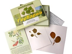 Гербарий "Систематика растений. Семейство Розоцветные" (раздаточный) - fgospostavki.ru - Смоленск