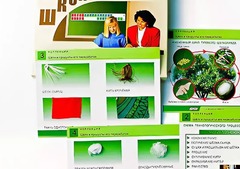 Коллекция "Шелк и продукты его переработки" (средняя школа) - fgospostavki.ru - Смоленск