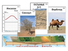 Модель-аппликация "Природные зоны" - fgospostavki.ru - Смоленск