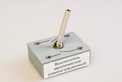Выключатель двухполюсный (демонстрационный) - fgospostavki.ru - Смоленск