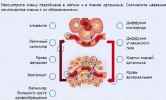 Интерактивные курсы. Биология 9 класс. Расширенный. - fgospostavki.ru - Смоленск