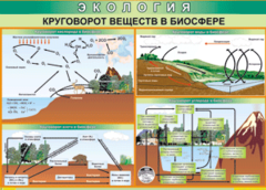 Таблица "Круговорот веществ в биосфере" (100х140 сантиметров, винил) - fgospostavki.ru - Смоленск