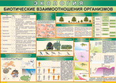 Таблица "Биотические взаимоотношения организмов" (100х140 сантиметров, винил) - fgospostavki.ru - Смоленск