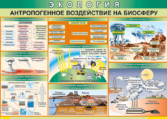 Таблица "Антропогенное воздействие на биосферу" (100х140 сантиметров, винил) - fgospostavki.ru - Смоленск