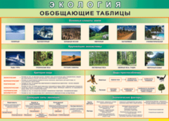 Таблица "Экология. Обобщающие таблицы" (100х140 сантиметров, винил) - fgospostavki.ru - Смоленск