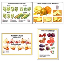 Плакаты ПРОФТЕХ "Ассортимент овощных культур" (12 пл, винил, 70х100) - fgospostavki.ru - Смоленск