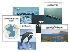 Модель-аппликация "Океаны. Знакомство" (ламинированная) - fgospostavki.ru - Смоленск