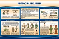 Стенд "Иммобилизация" - fgospostavki.ru - Смоленск