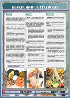 Стенд "Белки. Жиры. Углеводы" - fgospostavki.ru - Смоленск