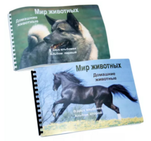 Пособие для слабовидящих - Домашние животные - fgospostavki.ru - Смоленск
