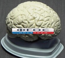 Модель "Мозг в разрезе" (белый) - fgospostavki.ru - Смоленск