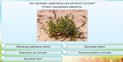 Интерактивные курсы. Окружающий мир 3 класс . Базовый. - fgospostavki.ru - Смоленск