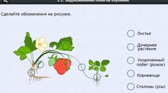 Интерактивные курсы. Биология 7 класс. Расширенный. - fgospostavki.ru - Смоленск
