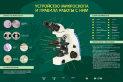 Электрифицированный стенд "Устройство микроскопа и правила работы c ним" - fgospostavki.ru - Смоленск