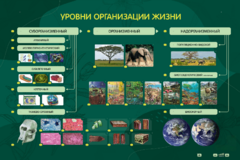 Электрифицированный стенд "Уровни организации жизни" - fgospostavki.ru - Смоленск