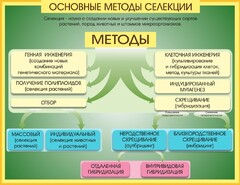 Стенд "Методы селекции и биотехнологии" - fgospostavki.ru - Смоленск