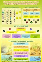 Стенд "Классификация животного мира" - fgospostavki.ru - Смоленск