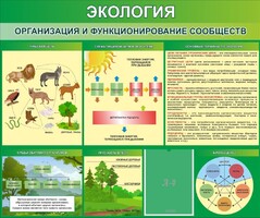 Стенд "Экология. Организация и функционирование сообществ" - fgospostavki.ru - Смоленск