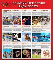 Стенд "Олимпийские летние виды спорта" - fgospostavki.ru - Смоленск