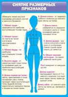 Стенд "Снятие мерок" Вариант 2 - fgospostavki.ru - Смоленск