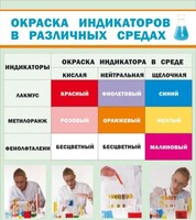 Стенд "Окраска индикаторов в различных средах" - fgospostavki.ru - Смоленск