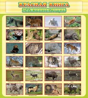 Стенд "Красная книга - млекопитающие" - fgospostavki.ru - Смоленск