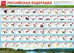 Стенд "Красная книга РФ" - fgospostavki.ru - Смоленск