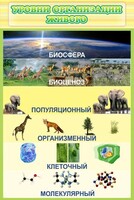 Стенд "Уровни организации живого" - fgospostavki.ru - Смоленск