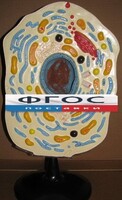 Модель "Клетка животного" - fgospostavki.ru - Смоленск