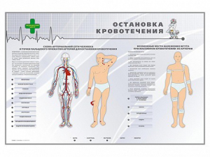 Электрифицированный стенд "Остановка кровотечения" - fgospostavki.ru - Смоленск