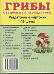 Раздаточные карточки "Грибы съедобные и не съедобные" - fgospostavki.ru - Смоленск