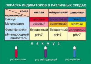 Таблица. Окраска индикаторов в различных средах. - fgospostavki.ru - Смоленск