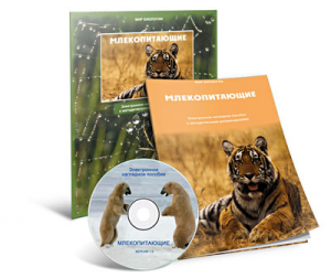 Электронное наглядное пособие «Млекопитающие» - fgospostavki.ru - Смоленск