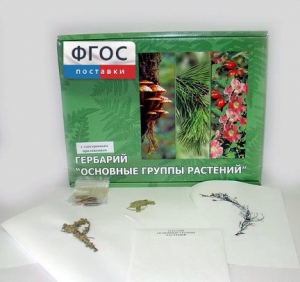 Гербарий "Основные группы растений" (52 листа) - fgospostavki.ru - Смоленск