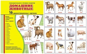 Демонстрационные карточки "Домашние животные" - fgospostavki.ru - Смоленск