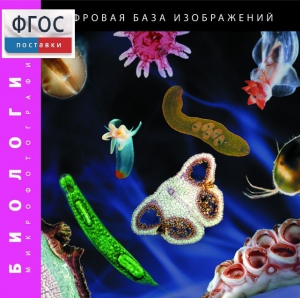 Биология. Микрофотографии. (Цифровая база изображений) - fgospostavki.ru - Смоленск