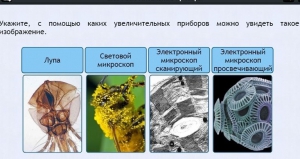 Интерактивные курсы. Биология 5 класс. Расширенный - fgospostavki.ru - Смоленск