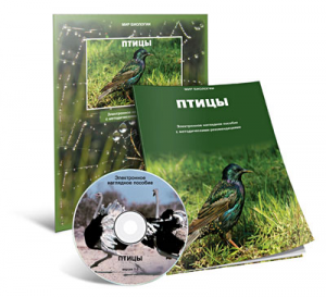 Электронное наглядное пособие «Птицы» - fgospostavki.ru - Смоленск